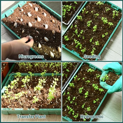 YoleShy 5 Packs Seed Starter Tray with Dome Reusable Plastic Plant Growing Trays with Humidity Domes Lids Thickened Sturdy for Seed Starting Germination Growing Seedling Propagation,14.5"x9" - size: 5 Pack with Domes - Green