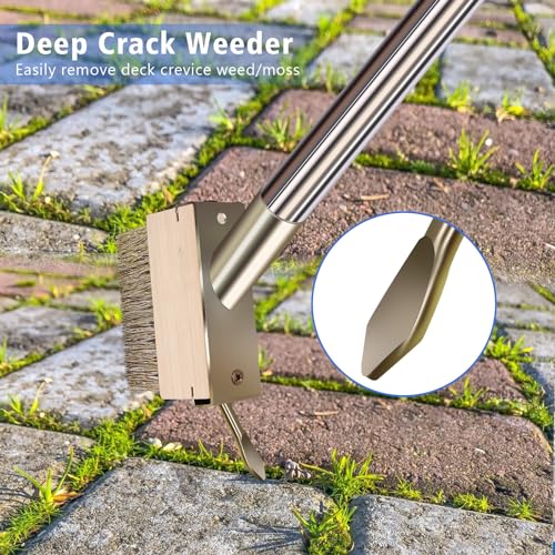 Moss Grout Remover Brush Tool with Detachable 64.9Inch Handle for Outdoor Concrete Deck Pavers Patios Walkways Crevice Cleaning, 2 Pcs Metal Wire Brush Heads with Crack Scraper Weeder Puller
