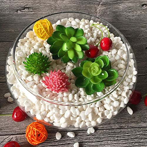 VOSAREA Glass Vase Bowl Glass Bubble Bowl Terrarium Succulent Planter Air Plants Hydroponic Display Floating Candles Clear Bubble Fish Aquatic Plant Pot Daffodil Pot (9.82X9.82X3.93in)