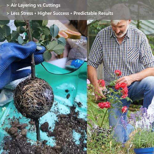 Tree Root Growing Box – Air Layering Propagation Pods for Woody Plants, Reusable Transparent Rooting Device for Magnolia, Fig, Citrus & Roses (10pcs Small, 3–9mm Branches) - color: Black-s-10pack
