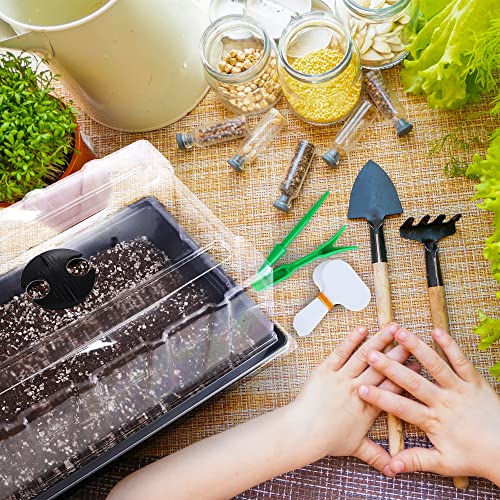 Hahood 6 Packs Seed Starter Tray Kits with Humidity Dome, Plastic Germination Growing Trays with Plants Labels, Planting Tools for Seeds Growing Starting, Germination and Seedling Propagation - color: Black