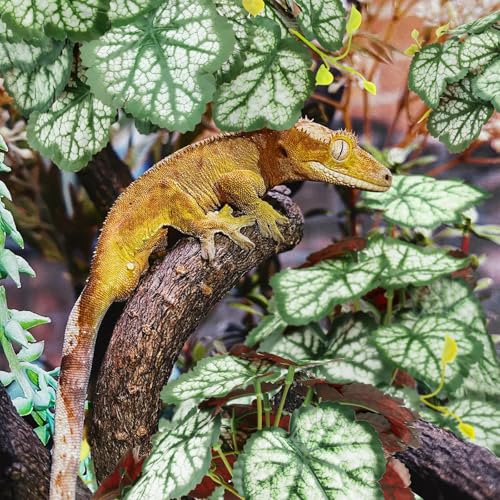 QUOZUO 2 Pack Reptile Plants for Terrarium, Artificial Leaves Habitat Decorations with Suction Cups, Terrarium Hanging Plants Vines for Bearded Dragons Lizards Snake Geckos Frogs - Green - color: Green