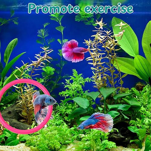 Betta Fish Enrichment Toys Ring with Mirror and Floating Ball, Exercise Mirrors and Training Ring, Floating Mirrors Aquarium with Feeding Rings, Betta Fish Tank Accessories (Pink+Mirror+Ball, 6.4cm) - color: Pink+Mirror+Ball