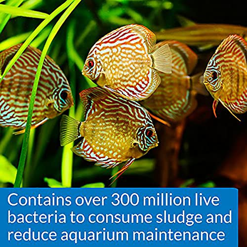 API STRESS ZYME Bacterial cleaner, Freshwater and Saltwater Aquarium Water Cleaning Solution, 8 oz - color: multi natural, size: 8 oz