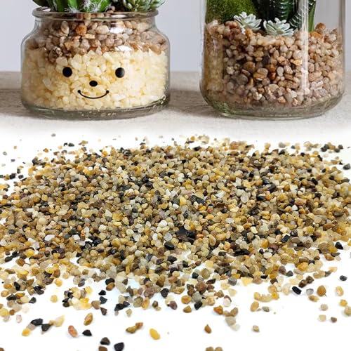 5LB Coarse Sand, Colored Rocks Pebbles, Quartz Sand for Cactus Bonsai, Succulent Plant Bonsai Paving, Vase Filling Decoration, Natural Sand for Fish Tank Decoration Paving(2-4mm) - size: 5LB, style: 2-4MM