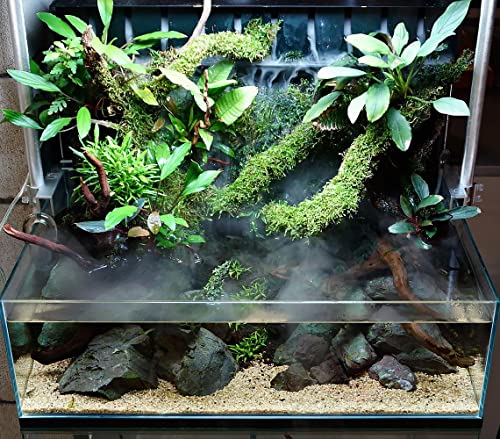 SubstrateSource Christmas Moss Live Aquarium Plant - Freshwater Fish Tank Decorations for Natural Aquatic Décor (Large Cup) - color: Christmas - Large Cup, size: 1 Pack