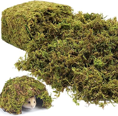 Riare 2.6LBS Artificial Fake Moss for Fake Plants Indoor- Premium Faux Craft Moss for Potted Plant, Fresh Forest Green Moss for Hamsters Micro-Landscape Terrariums Centerpieces Decor - color: 2.6 Lb