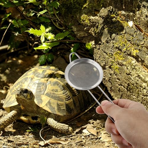 TOYANDONA 2pcs Stainless Steel Reptile Sand Substrate Scoop with Fine Mesh Sifter for Terrarium Bedding Cleaning and Sand Filtering