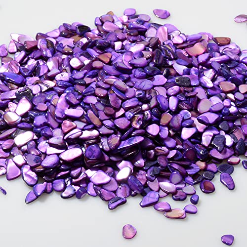 QICQDRAM Crushed Shells for Crafts About 1LB (405g/14.28oz) Small Natural Crushed Shells Bulk for Crafts DIY Beaching Wedding Decoration Vase Fillers(Purple) - color: Purple, size: 1LB (405g/14.28oz)