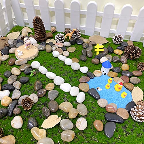 FANTIAN Small Pebbles for Plants, 5 LB Natural Smooth Colorful River Rocks Stones for Plant, Vase Fillers, Aquarium Gravel, Landscaping, DIY Craft Rocks and Outdoor Decorative Stones - size: 0.8-1.2 Inch, style: 5 Pounds