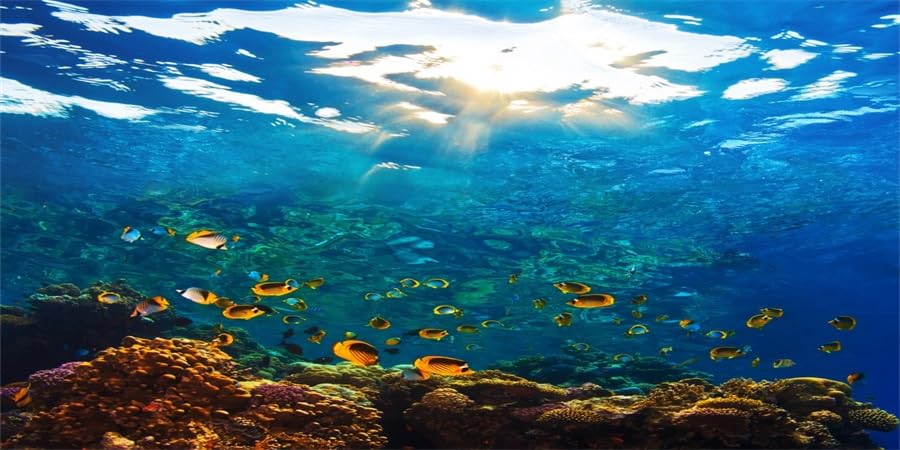 YongFoto Ocean Theme Fish Tank Background 36x18 inch Seaweed Coral Reef Rock Seafloor Tropical Fish Underwater Sea World Polyester Backdrop Reptile Habitat Terrarium Aquarium Background - color: Underwater 1, size: 36x18inches