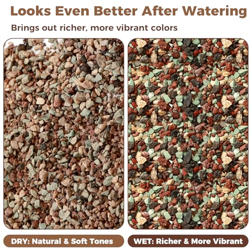 44lb Mix Lava Rocks for Plants 1/4" Horticultural Pumice for Plants, Succulent Cactus Soil Potting Mix - Horticultural Sand Aquarium Gravel Drainage Rocks for Potted Plant, Bonsai Soil, Top Dressing - size: 1/4 Inch