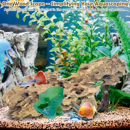 PINVNBY Natural Driftwood for Aquarium Large Reptile Terrarium Decor Decorations Assorted Branches Dearded Dragon Tank Accessories (7-11.5 inches/2 Pack) - size: L:Honeycomb wood (7 - 11.5 inches/2 Pack)