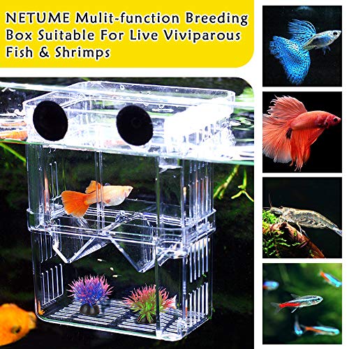 Aquarium Fish Breeding Box, Acrylic Double Layer Fishes Isolation Box/Baby Fishs Hatchery/Fry Breeder Box for Guppy,Tropical Fishes, Floating Fish Incubator Tank Divider with Suction Cups, L size