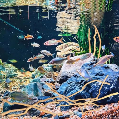 Hamiledyi Natural Driftwood for Aquarium Decor - Red Moor Wood 10"-15" Long Assorted Shapes (200g) Safe Branches for Fish Tank & Reptile Habitat - Natural Aquarium Wood Decorations (Medium Branches)