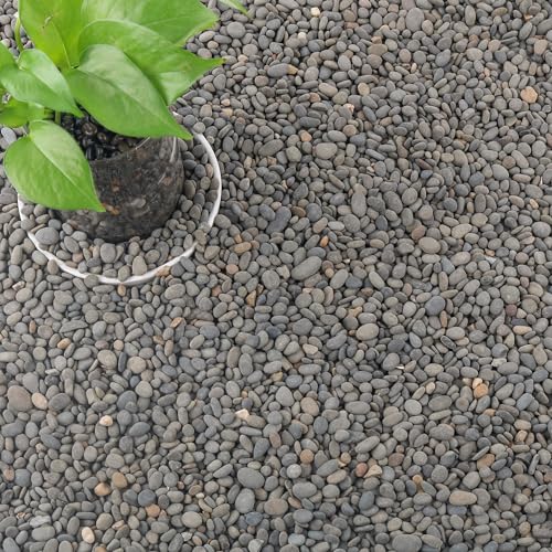 18lb Aquarium Gravel for Plants, Decorative River Rocks Pebbles for Succulents Cactus Outdoor Garden Landscaping, Natural Small Drainage Rocks Gravel for Fish Tank Vases Terrarium - color: Black-Small, size: 18lb
