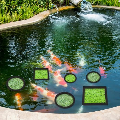20 Pcs Aquarium Floating Plant Rings Round Square Fish Feeding Rings Different Size Corral Foam Circle for Tank Keep Floating Plants in Place and Out of Filter, 5 Sizes(Black)
