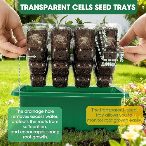 5 Packs Seed Starter Tray with Humidity Dome, Seed Starter Kit with Transparent Drain Hole Base Indoor Greenhouse Mini Propagator for Seeds Growing Starting(60 Cell Trays, Green)
