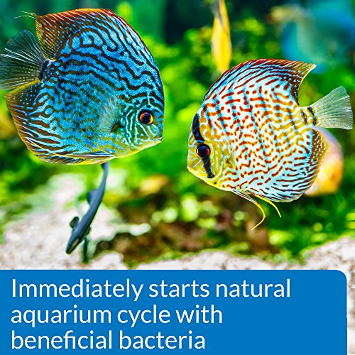API QUICK START Freshwater and Saltwater Aquarium Nitrifying Bacteria 8-Ounce Bottle - size: 8-Ounce