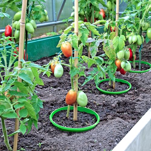 EBaokuup 6 Pcs 10 Inch Planting Grow Rings-Planting Protective Round Edging to Separate Rock and Pest-Planting Rings for Vegetables, Herbs and Flowers - color: 10 Inch
