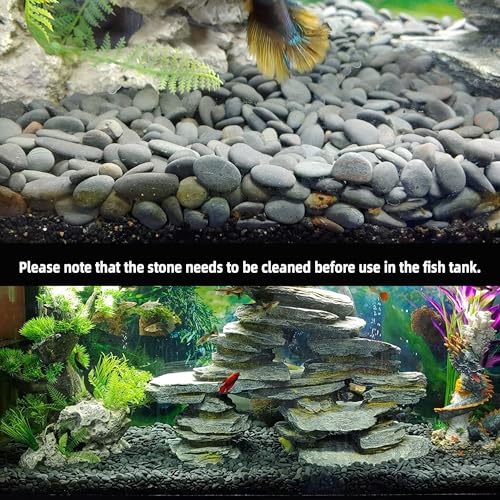 7LB River Rocks Mexican Beach Pebbles for Garden Landscape Plants Paving Grey (1Inch) - size: 7LB, style: Medium