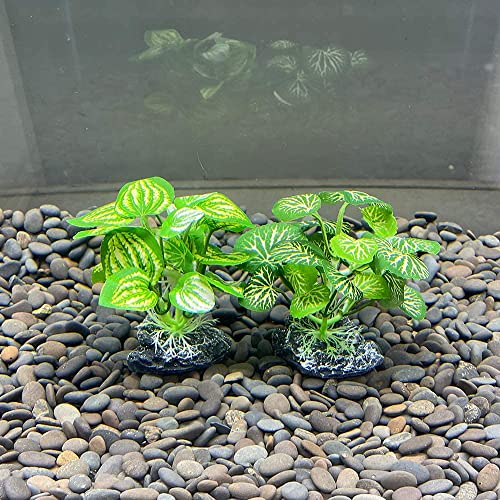 Aquarium Plants Betta Fish Tank Decorations 4inch/2pcs Soft Silk Artificial Plant Goldfish Waterscape Fish Hides Snake Tank/Reptiles Plants(A-2pcs Set/Green)