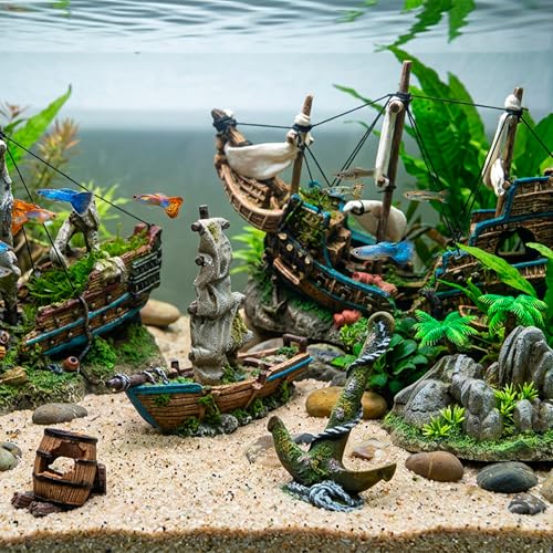 WAVE Shipwreck with Octopus