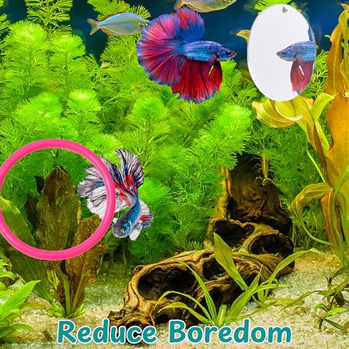 Betta Fish Enrichment Toys Ring with Mirror and Floating Ball, Exercise Mirrors and Training Ring, Floating Mirrors Aquarium with Feeding Rings, Betta Fish Tank Accessories (Pink+Mirror+Ball, 6.4cm) - color: Pink+Mirror+Ball