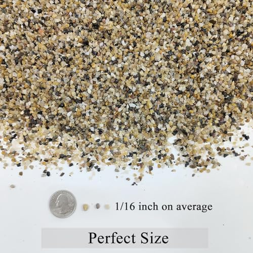 FANTIAN 5 lbs Fish Tank Sand, 1/16 inch Mini Aquarium Gravel, Decorative Pea Gravel Stones for Air Plants, Vase Fillers, Landscaping and Succulent Soil Cover - size: 1/16 Inch