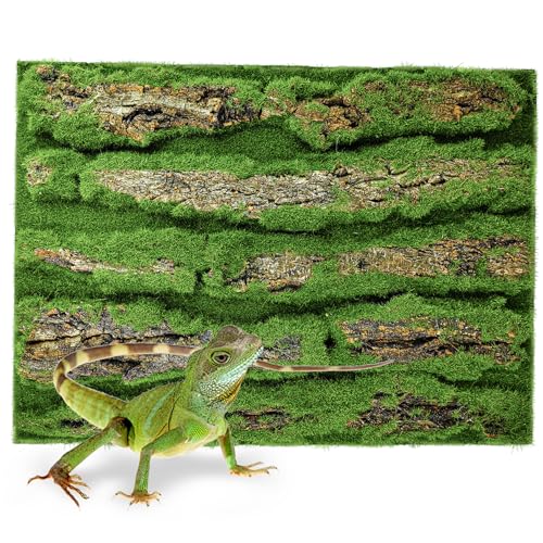 15.75x11.81in Reptile Terrarium Cork Background,Bearded Dragon Tank Bark Backdrop Wall Decor with Artificial Moss for Gecko Lizard Tortoise Frog Chameleon(1Pcs) - color: Green-15.7"*11.8"（1pcs）