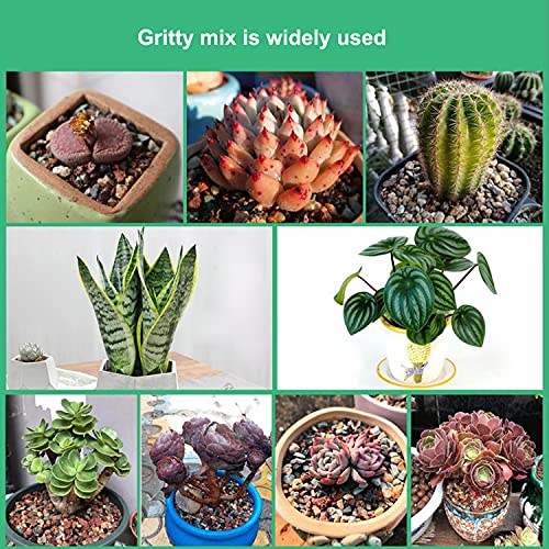 Boniosz 5lb Bonsai Succulent and Cactus Soil 1/8-1/4 inch Gritty Mix Rocks Gravel for Terrarium Top Dressing Decorative Pebbles Potting Soil Amendment for Pots Indoor Plants, Fast Drainage, Balance PH - color: Mix Colors, size: 5lb