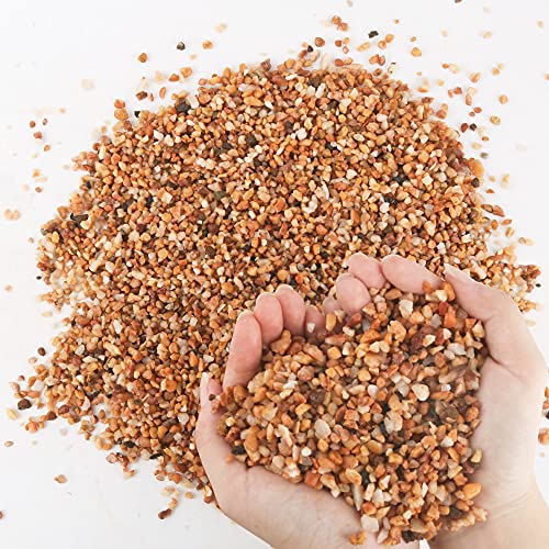7lb Cactus Pea Gravel Rocks,1/5 Inch Pebbles for Indoor Plants, Natural Succulent Rock and River Rocks Decorative for Aquariums, Vases, Terrarium, Outdoor Gardening, Top Dressing for Potted Plants
