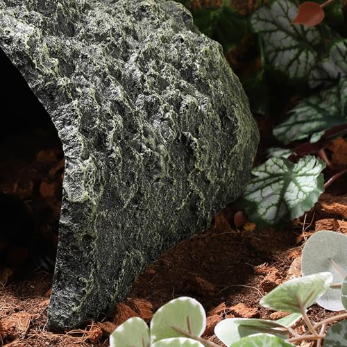 IBWell 9.1 Inch Reptile Hides Resin Tortoise Hideout for Hiding and Basking Aquarium Rock Caves for Snake Bearded Dragon Fish Lizard