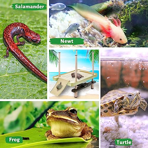 Large Turtle Floating Basking Platform with Feeding Area, Turtle Floating Docks Reptile Climbing Pier and Basking Platform for Tortoise, Frogs, Crabs and Salamanders - size: Large - 30 gallon or larger fish tank