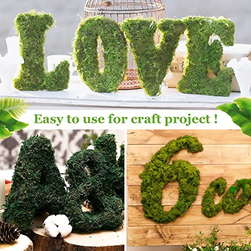 Riare 1.3LBS Artificial Fake Moss for Fake Plants Indoor- Premium Faux Craft Moss for Potted Plant, Fresh Green Moss Forest Moss for Hamsters Micro-Landscape Terrariums Centerpieces Decor - color: 1.3lb