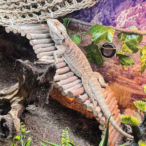 Bearded Dragon Tank Accessories, 9Pcs Reptile Plants Vines Hammock Flexible Bridge with Suction Cups Terrarium Habitat Décor for Snake Gecko Lizard Chameleon