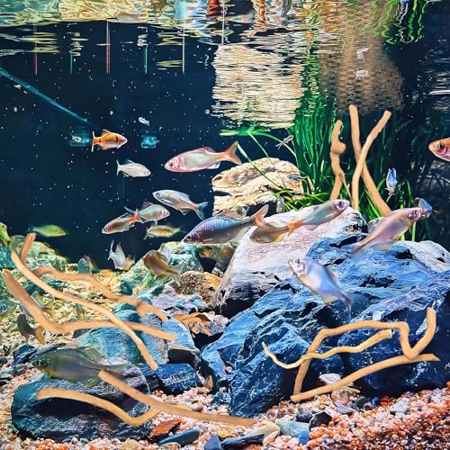 Hamiledyi Natural Driftwood for Aquarium Decor - Red Moor Wood 10"-15" Long Assorted Shapes (600g) Safe Branches for Fish Tank & Reptile Habitat - Natural Aquarium Wood Decorations (Coarse Branches)