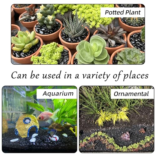 7lb 1/4" Small Pebbles Black for Plants,Potting,Succulents Aquarium Fish Tank Vases Decorative Garden Polished Gravel Rocks Stones - color: Black, size: 7lb