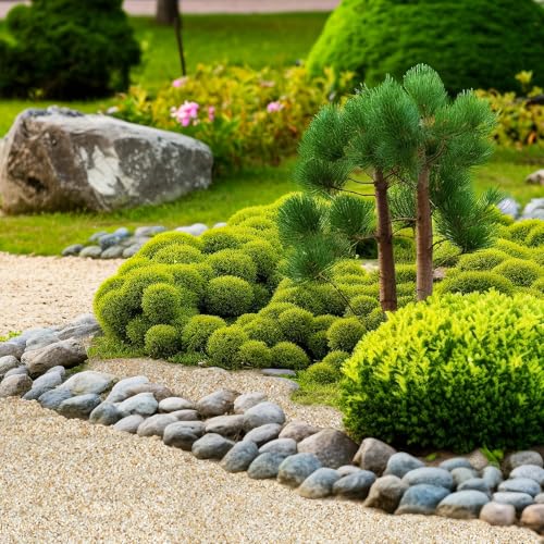 1-2mm Coarse Sand for Plants, 20lbs Horticultural Sand for Succulents, Desert Silica Sand for Cactus, Vases, Aquariums, Terrarium, Fish Tank, Drainage Rocks for Potted Plants, Bamboo, Crafts