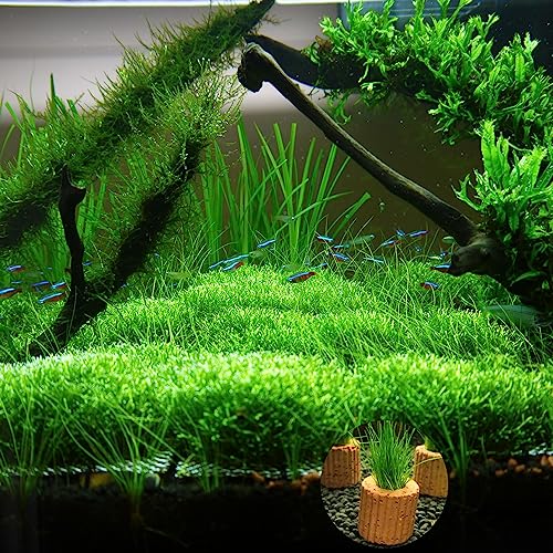 20 Pcs Aquatic Water Plant Fixed Rings, Aquarium Landscape Ceramic Pottery Plant Pot Gravity Ring for Fish Tank Accessories - size: Small