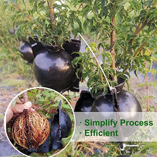 MIIIM 10 PCS Air Layering Propagation Kit with Zip Ties, Reusable Half Transparent Grafting Ball, Air Layering Pods Clear, Plant Rooting Grafting Box for Fast Propagation Plants (Medium) - size: Medium