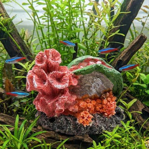 Aquarium Decor Resin Coral Fish Tank Decorations, Small Aquarium Hideout Ornament for Betta Shrimp Goldfish, Fish Tank Accessories Decorations Artificial Reef - color: Coralshell