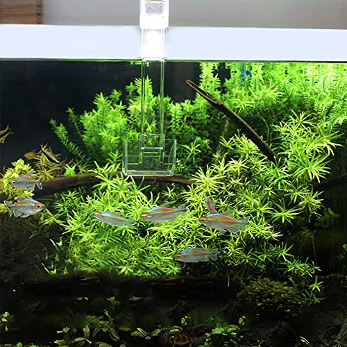 Shrimp Fish Feeding Dish, Aquarium -Sky Restaurant- Betta Feeding - Prevent Food Spilling, Fish Feeder, Also Easy to Clean Up The Food Left Over, African Feeding, Dwarf Frogs Feeding (L)