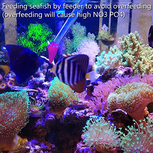 Aquarium Choice Coral Feeder Long Syringe Tube Liquid Fertilizer Feeder SPS HPS Marine Reef Coral Feeder Tool Fish Excreta Cleaner Precise spot Feeding Tube 18.3 Inch Long - size: 1 units red coral feeder
