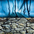 ELEBOX Fish Backgrounds Paper Double Sides 3D Stone & Trees Aquarium Background Picture 19" x 48" Fish Tank Background - color: N, size: H:19.5"x L:48"