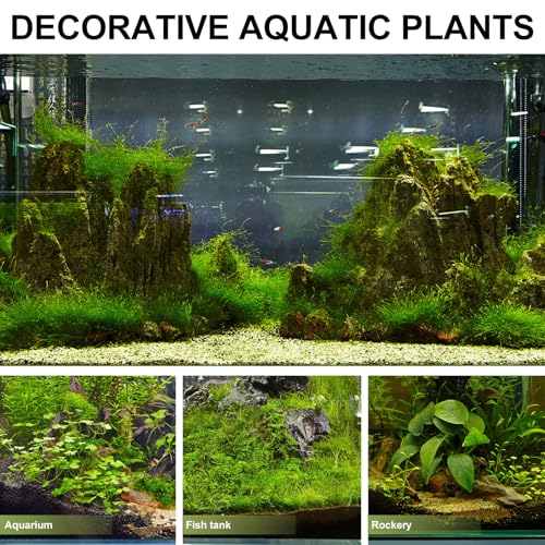 Tofficu Fish Tank Divider 3pcs Acrylic Isolation Board 30x15cm with 10 White Suction Cups Aquarium Breeding Partition for Small Fish Separation