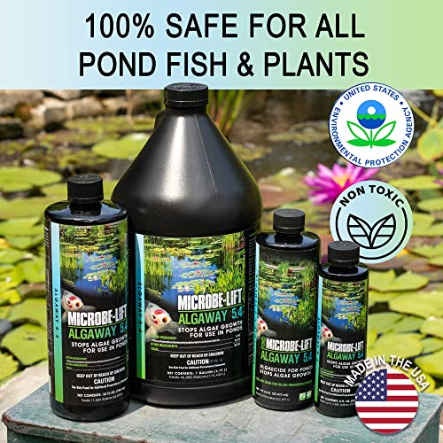 MICROBE-LIFT ALGA16 Algaway 5.4 Algae Control Treatment for Ponds and Water Gardens, Safe for Koi Fish, Goldfish, Plants, and Decorations, 16 Ounces - size: 16 Ounces