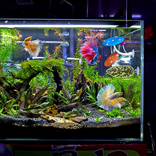 5 pcs Betta Mushroom Hammock + Leaf Pads, Fish Tank Silicone Soft Aquarium Fish Playing Pads with Suction Cup, Aquarium Ornament Fish Tank Decorations Accessories (Mushrooms+Leaves)