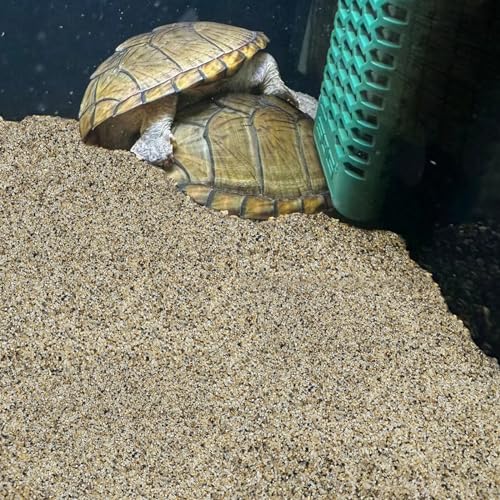 FANTIAN 20 lbs Aquarium Sand, 0.6-1.2 mm Aquarium Substrate for Freshwater Fish Tank. Decorative River Rocks Gravel for Fish Tank, Plants Potted, Fire Pits, Candle, Vase and Crafts - color: Mixed, size: 20 LB