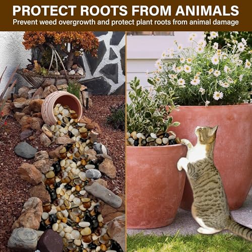 NUPICK 12lb River Rocks for Plants Indoor, 1-2Inch Mixed Pebbles for Vase Fillers, Decorative Gravel for Fish Tank, Natural Polished Stones for Succulent, Bonsai, Landscaping, Bird Baths - color: Mixed, size: 1-2"-12lb